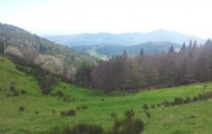 SORTIE