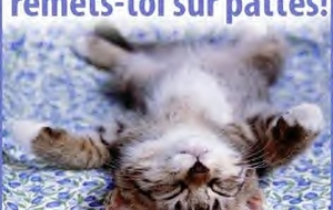 Prompt rétablissement.