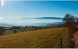 Trail des coursières