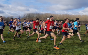 Championnats de Cross Country Loire et Volcan