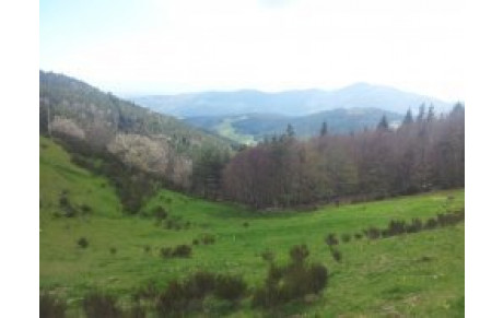 SORTIE