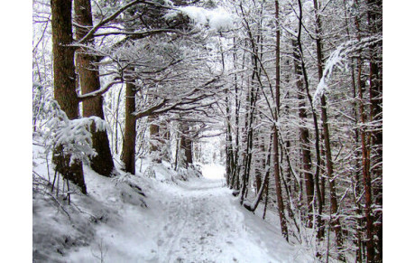 Sortie nature