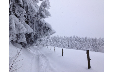 Sortie du Dimanche