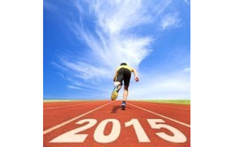 Joyeuse Année 2015