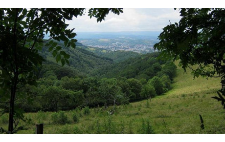 Sortie nature