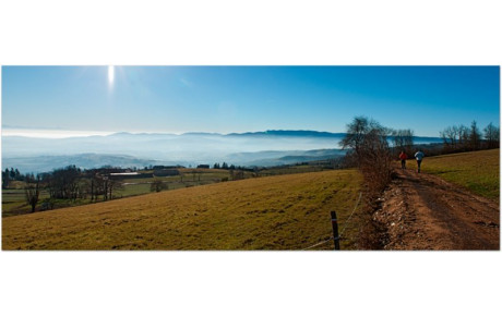 Trail des coursières
