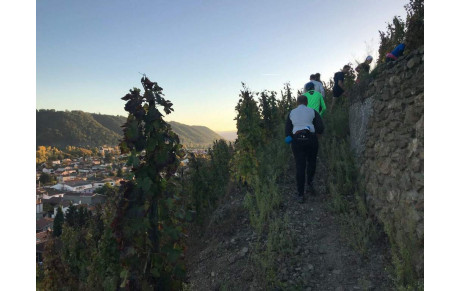 Trail en Côte-Rôtie