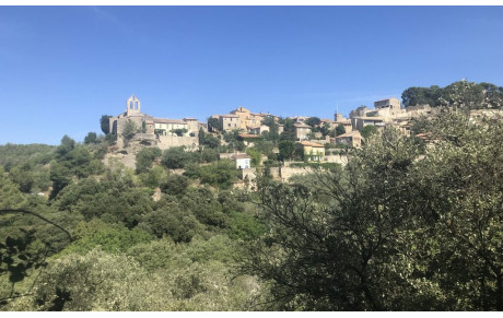 Trail des Monts de Vaucluse